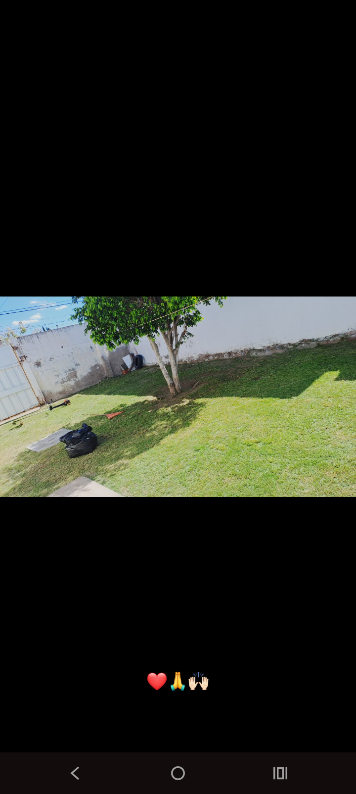 Jardineria